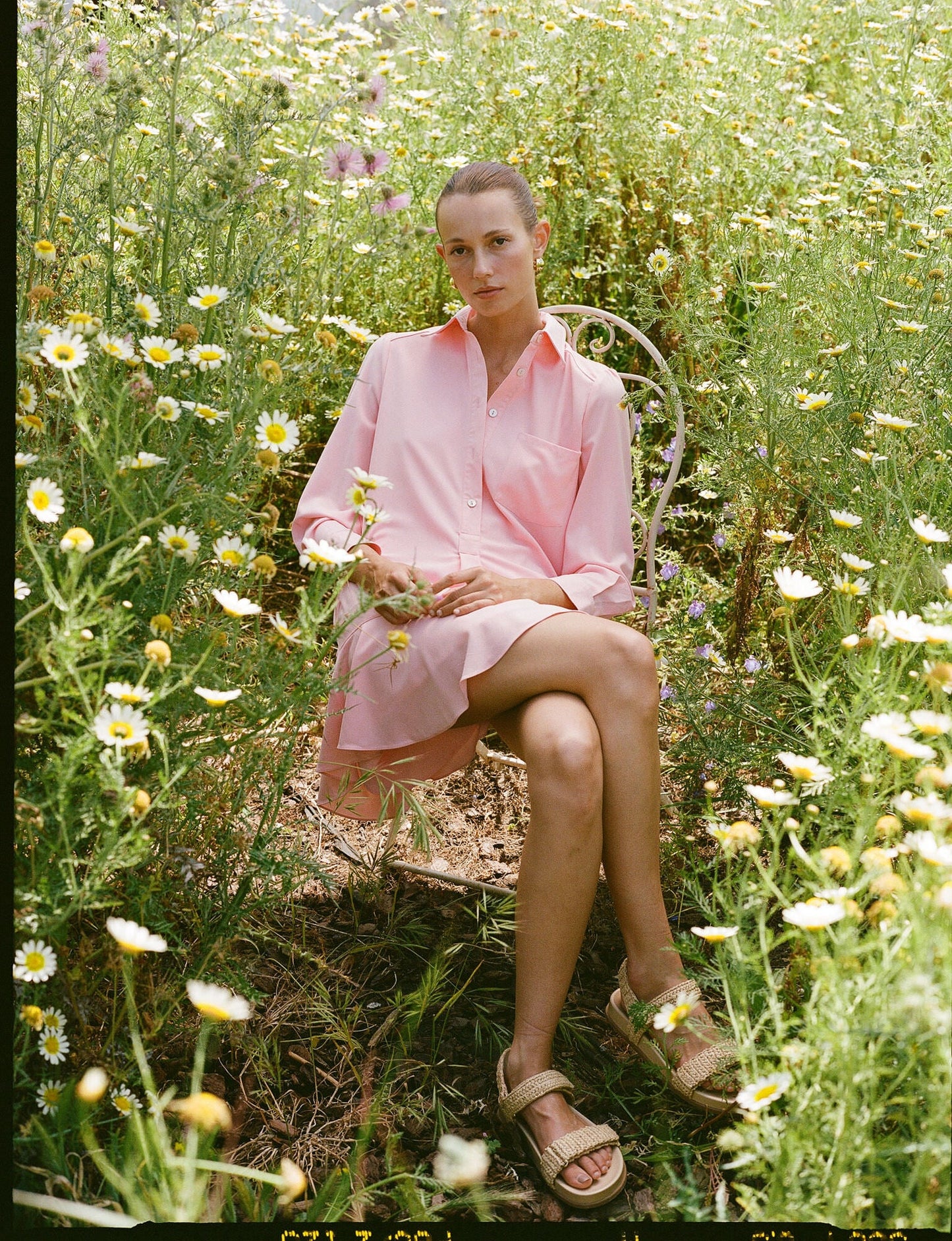 Bermuda Powder Pink Crepe Callahan Shirt Dress