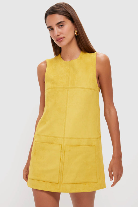 Citrine Suede Dakota Mini Dress