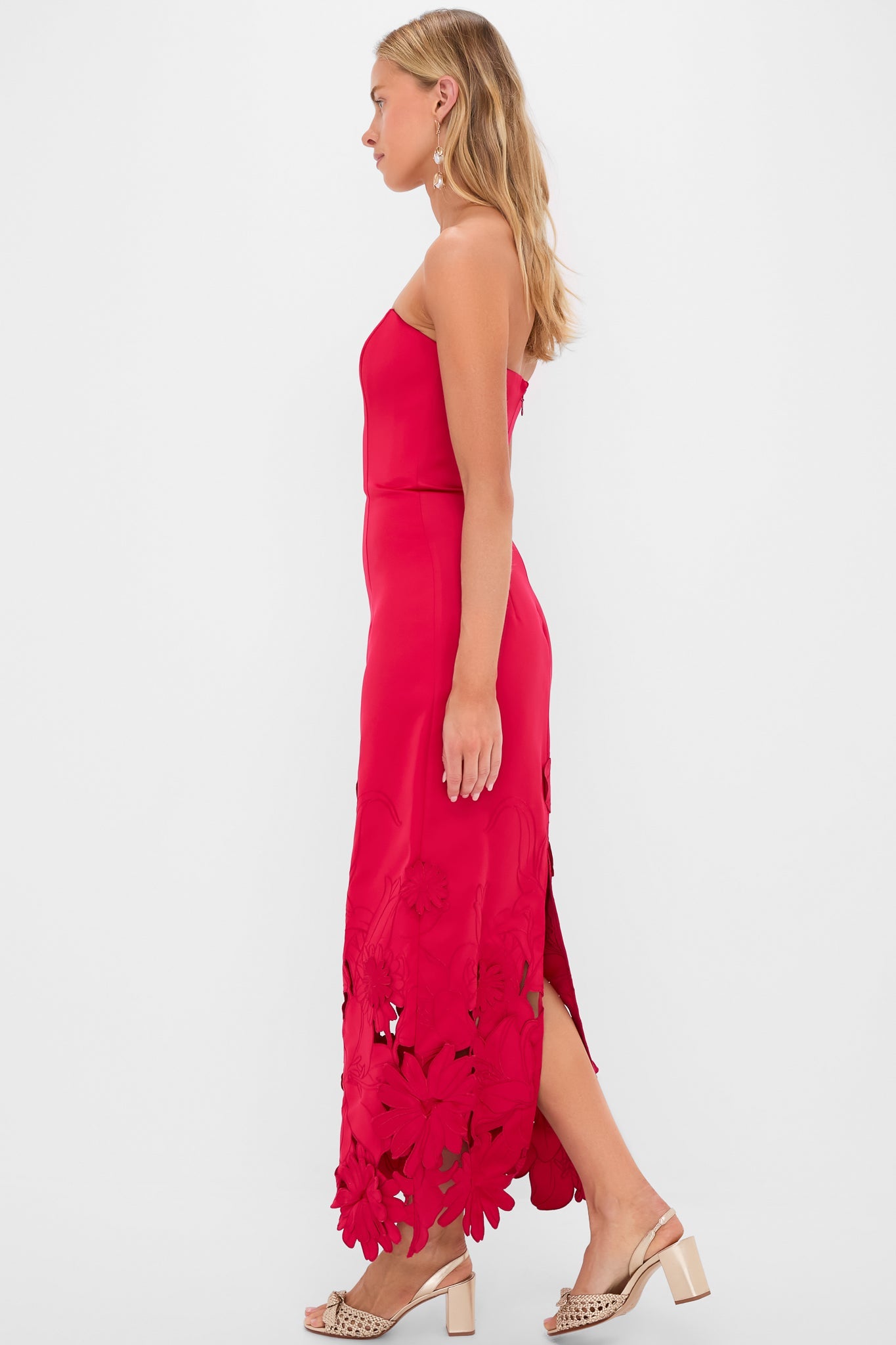 Rosa Rayna Applique Bustier Maxi Dress
