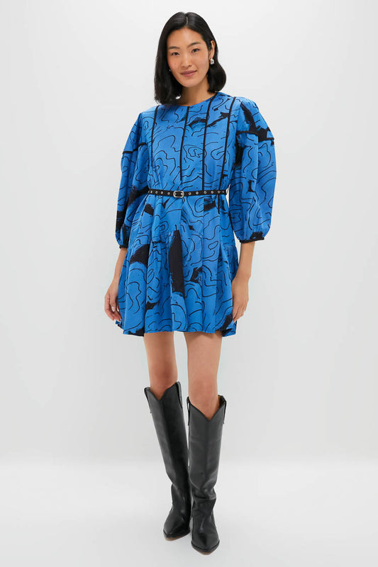 Steel Blue Rose Printed Eden Dress