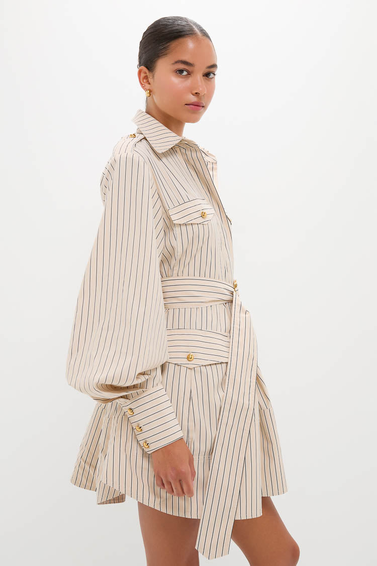 Almond Stripe Memento Utility Mini Dress