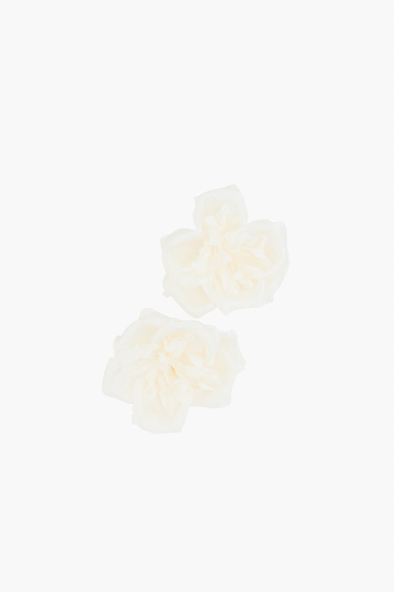 Gardenia Earrings