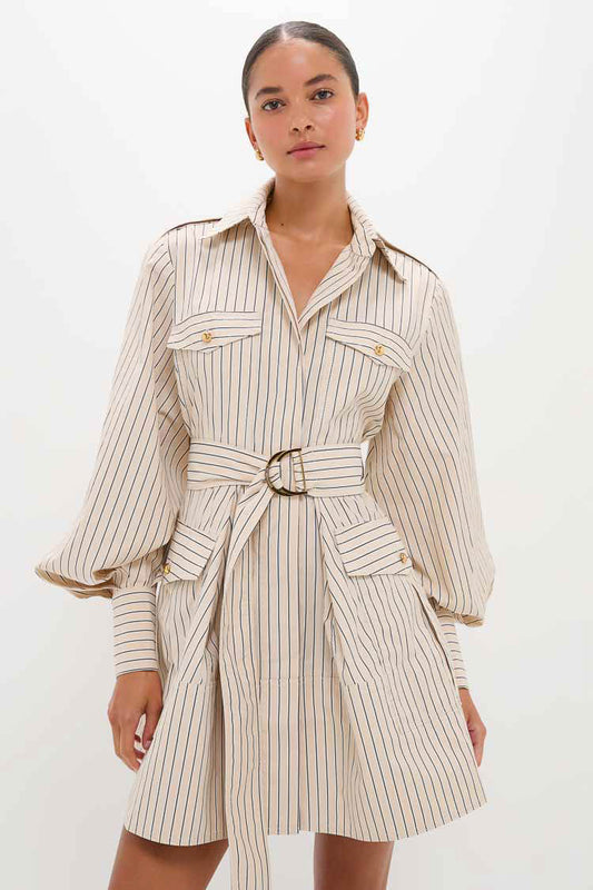 Almond Stripe Memento Utility Mini Dress