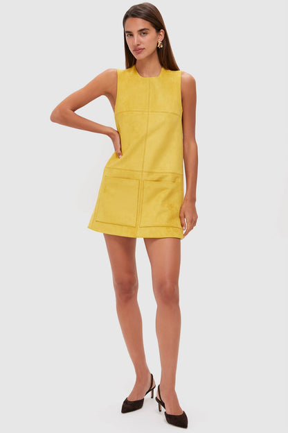 Citrine Suede Dakota Mini Dress
