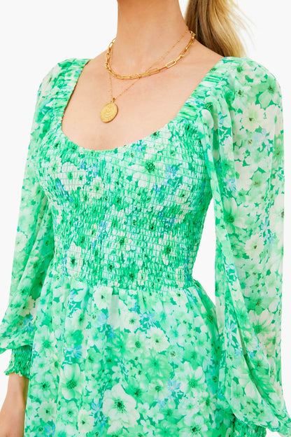 Basil Color Me Lucky Dress