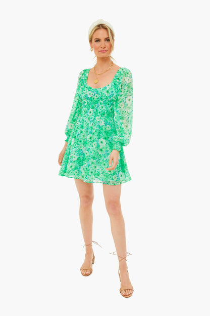 Basil Color Me Lucky Dress