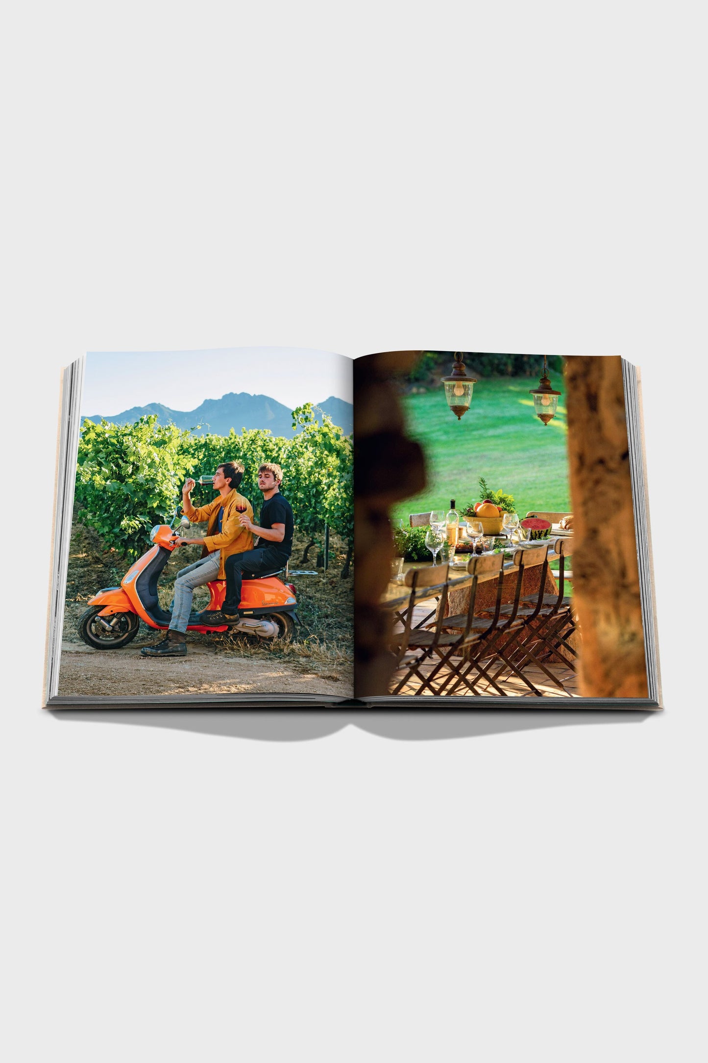 Wine & Travel France