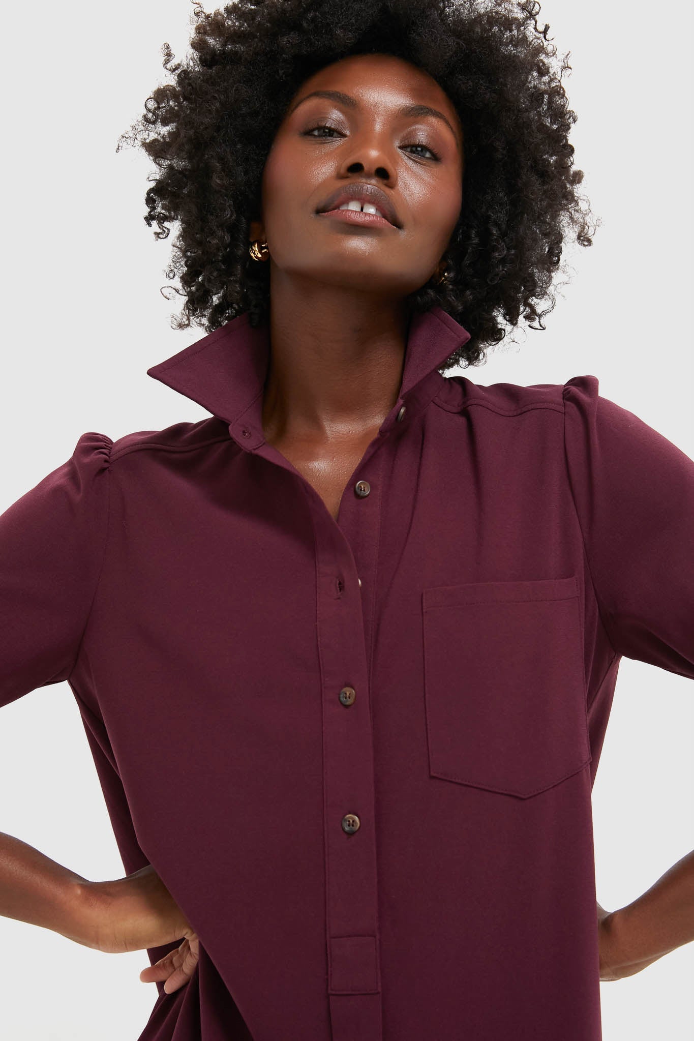 Winetasting Crepe Callahan Shirt Dress