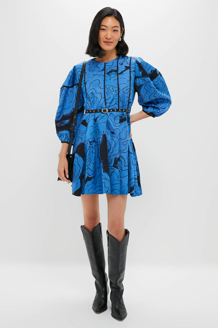 Steel Blue Rose Printed Eden Dress