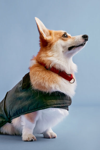 Tartan Wax Dog Coat