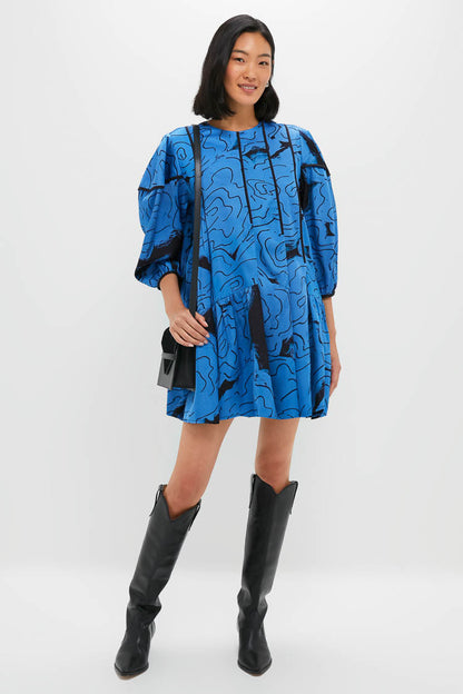 Steel Blue Rose Printed Eden Dress