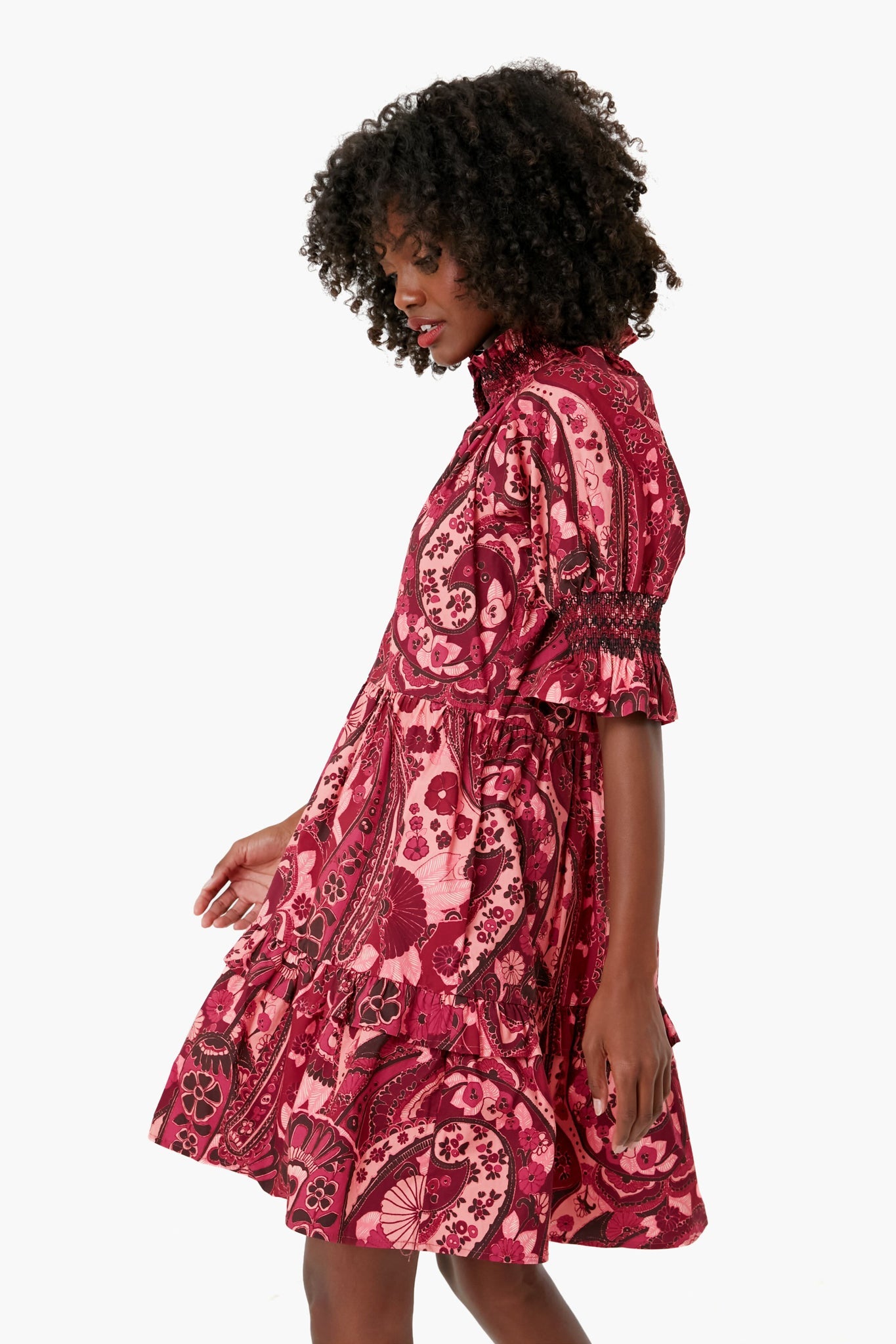 Fall Paisley Berry Halima Dress