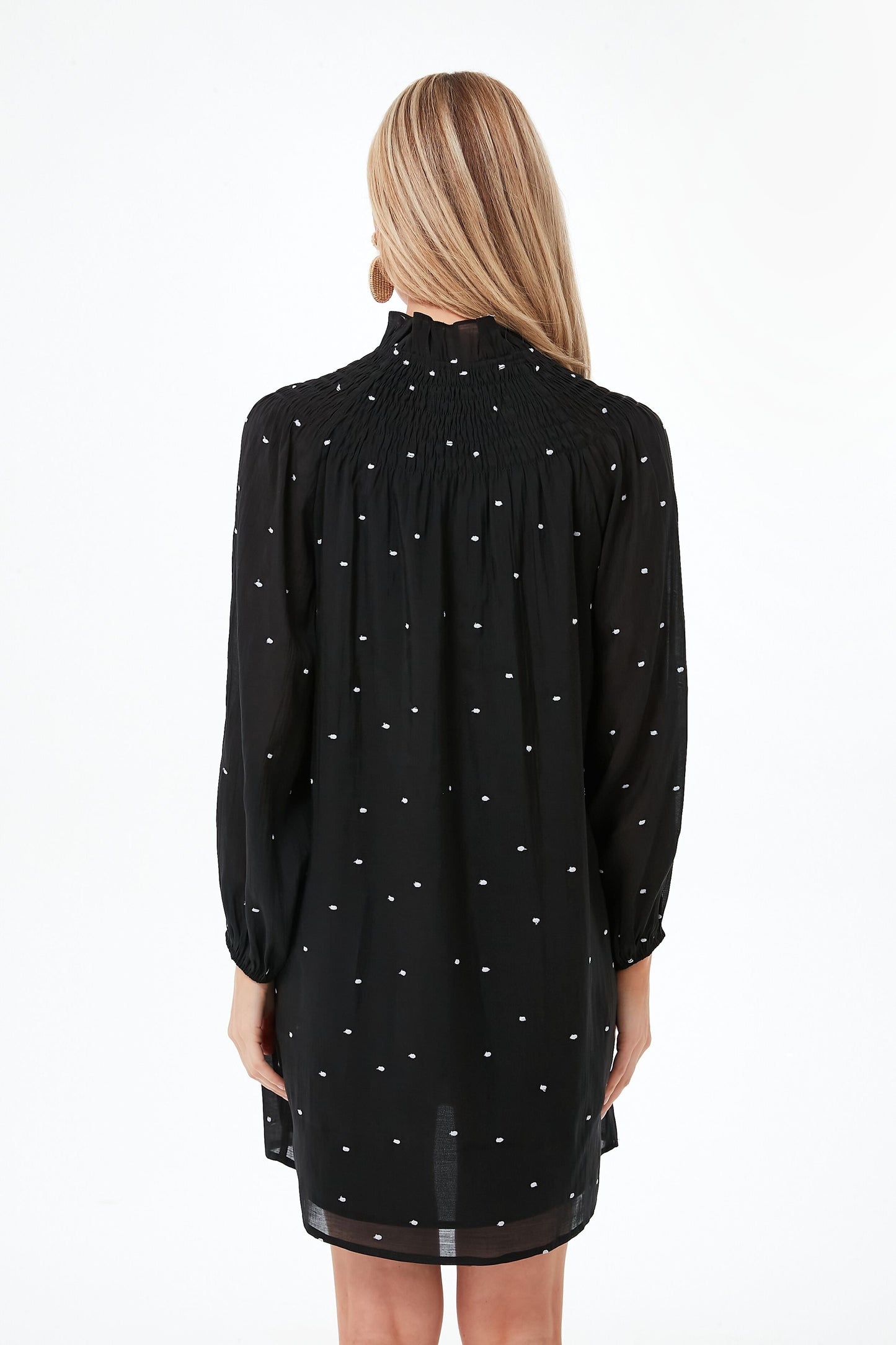 Polka Dot Taylor Dress