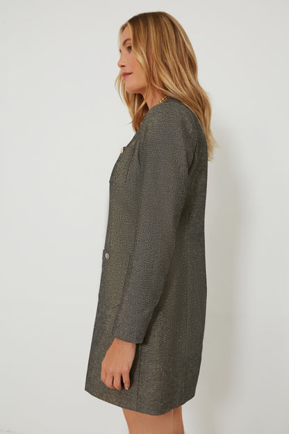 Coventry Metallic Keira Dress