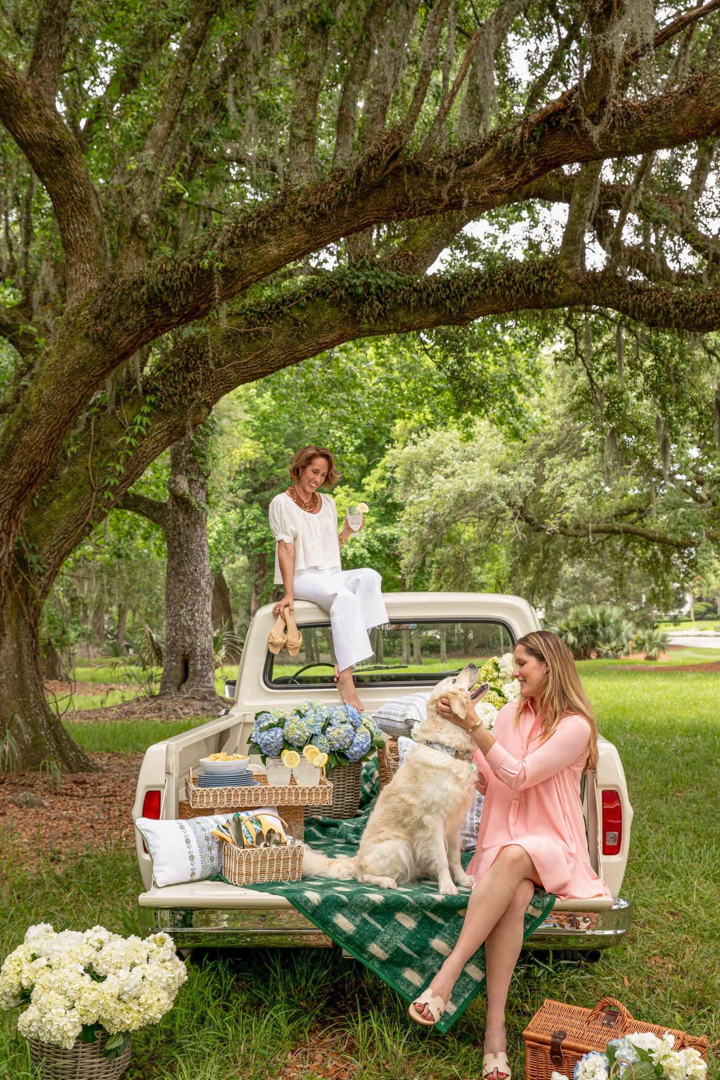 Bermuda Powder Pink Crepe Callahan Shirt Dress