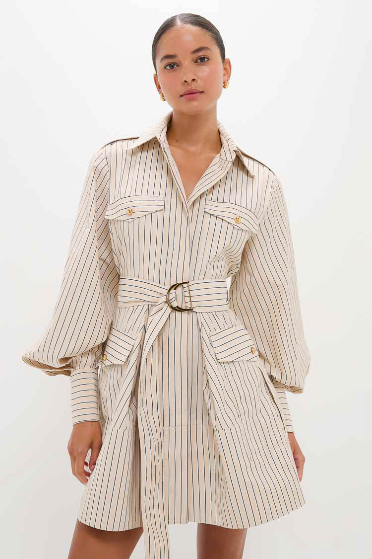 Almond Stripe Memento Utility Mini Dress